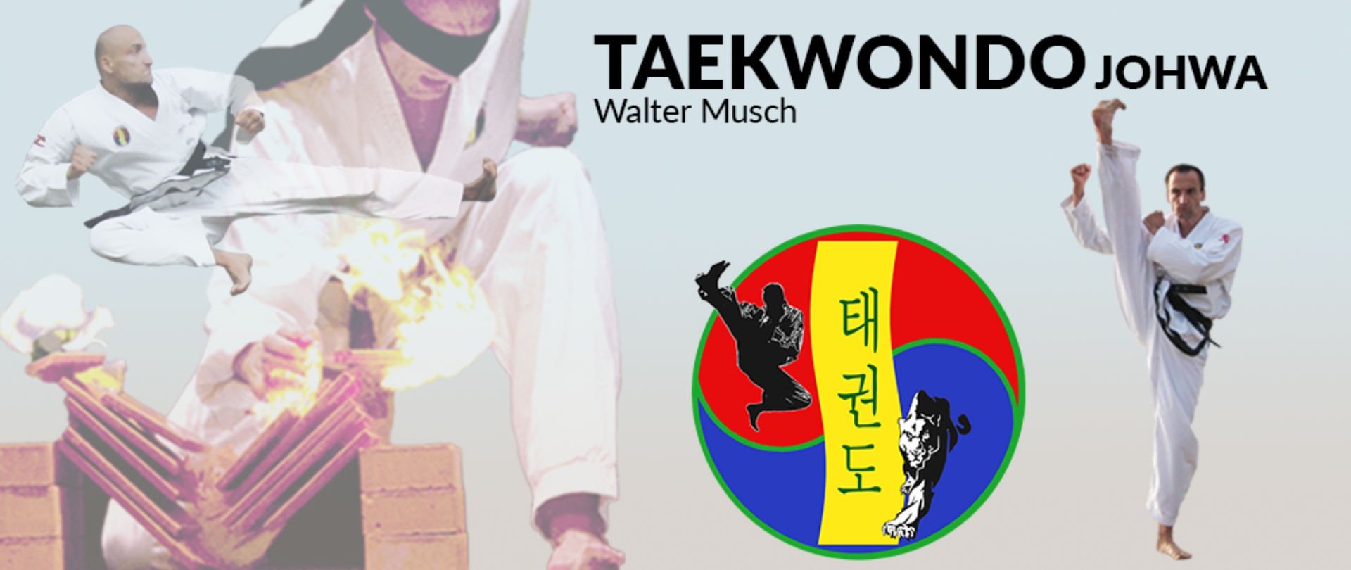 Taekwondo Johwa Banner